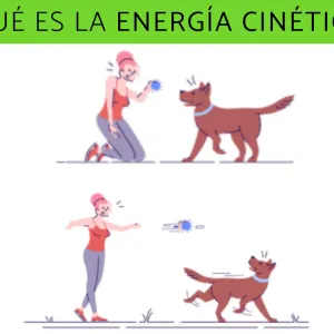 What is kinetic energy and examples What is kinetic energy and examples