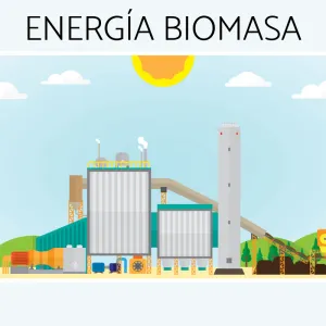 Biomass energy: advantages and disadvantages Biomass energy: advantages and disadvantages