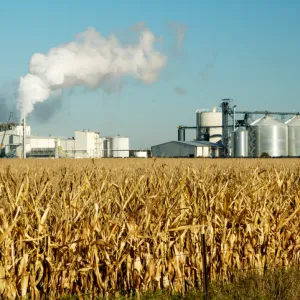 What are biofuels, advantages and disadvantages