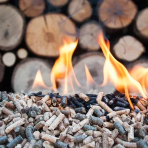 What is biomass energy and what is it used for? What is biomass energy and what is it used for?